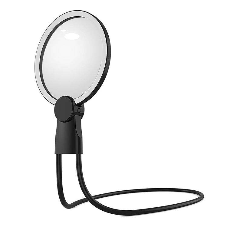 Gooseneck Magnifier with Light 6X